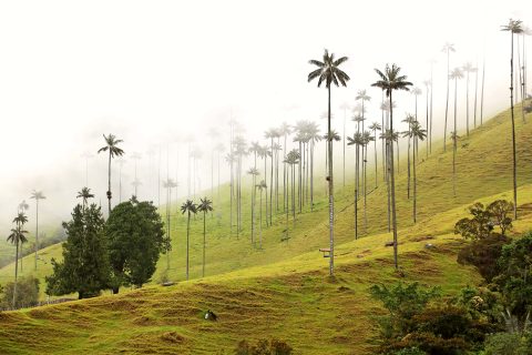 Quindío