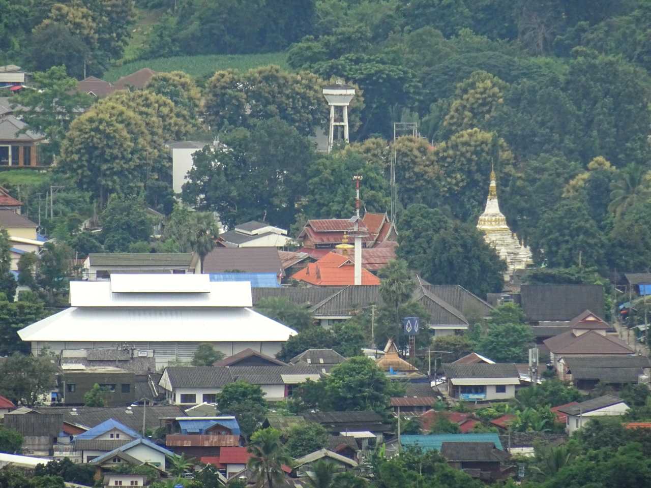 Pai