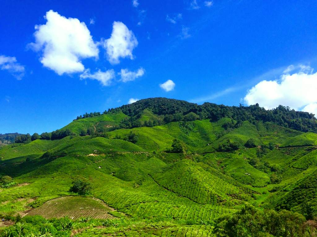Pahang