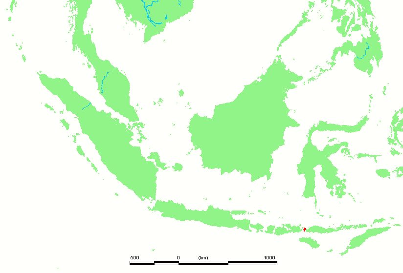 Verken de ruige schoonheid van Komodo Island