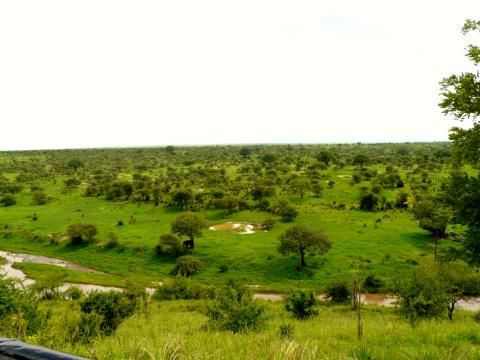 Tarangire National Park