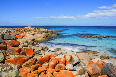 Bay of Fires