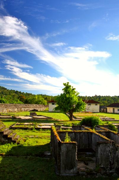 Saparua