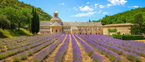 Abbaye de Sénanque