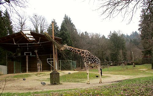 Ljubljana Zoo