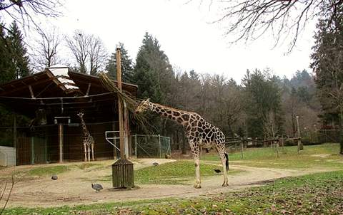 Ljubljana Zoo