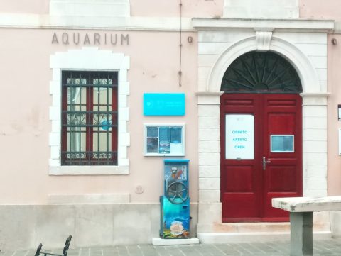 Piran Aquarium