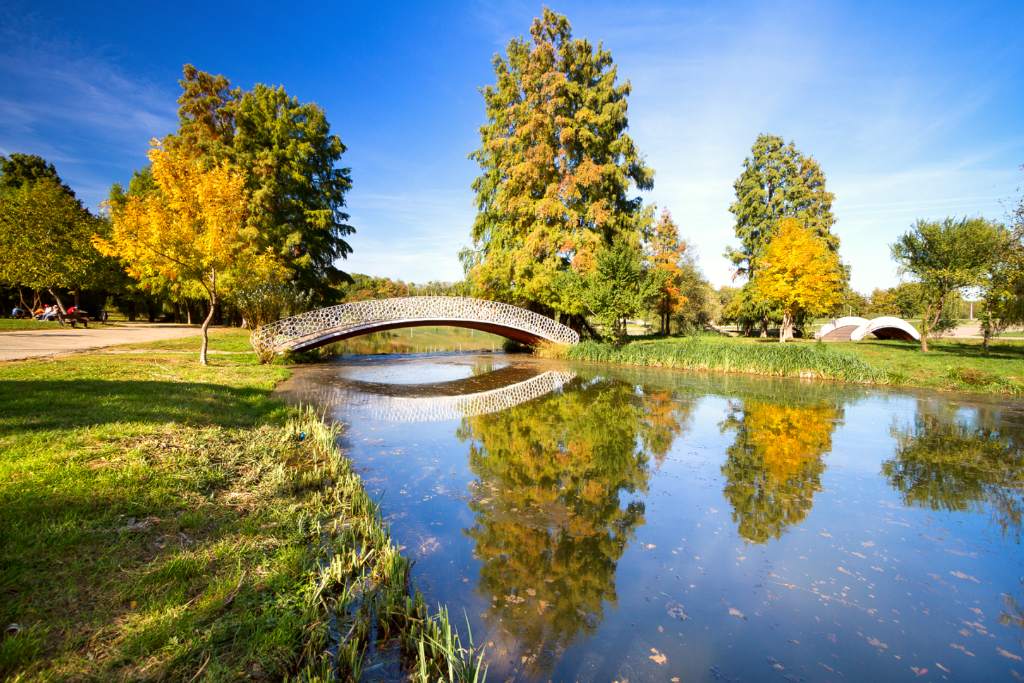 Parcul Tineretului