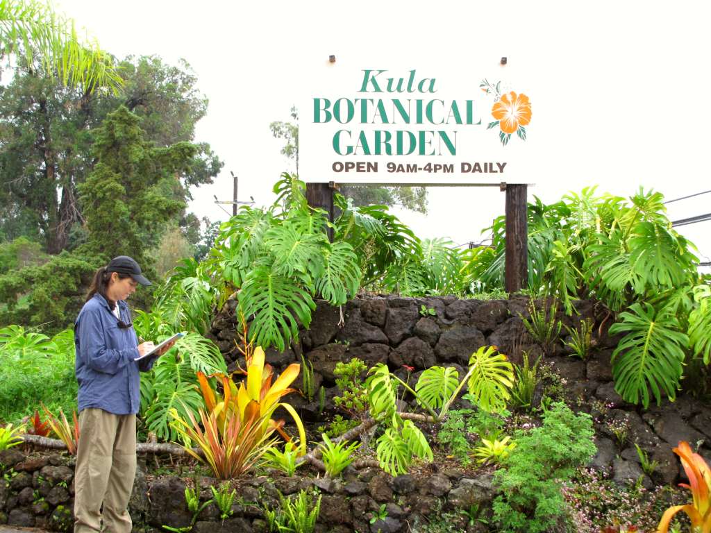Kula Botanical Garden