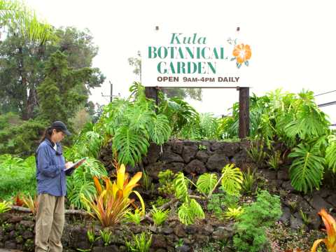 Kula Botanical Garden
