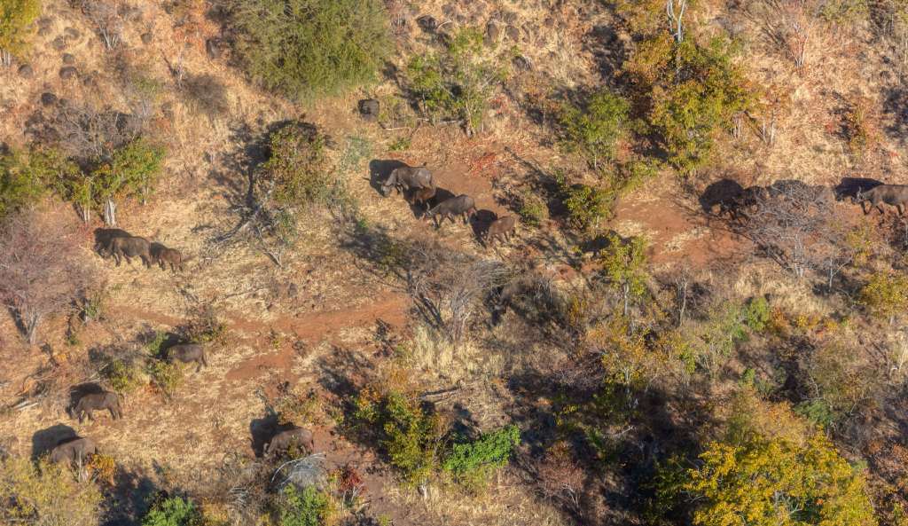 Mosi-oa-Tunya National Park