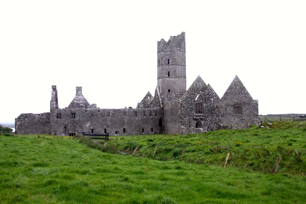 Moyne Abbey