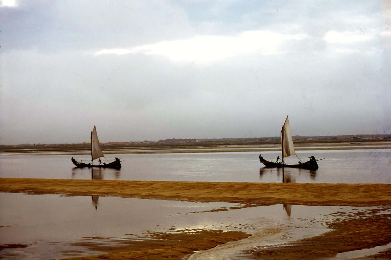 Ria de Aveiro