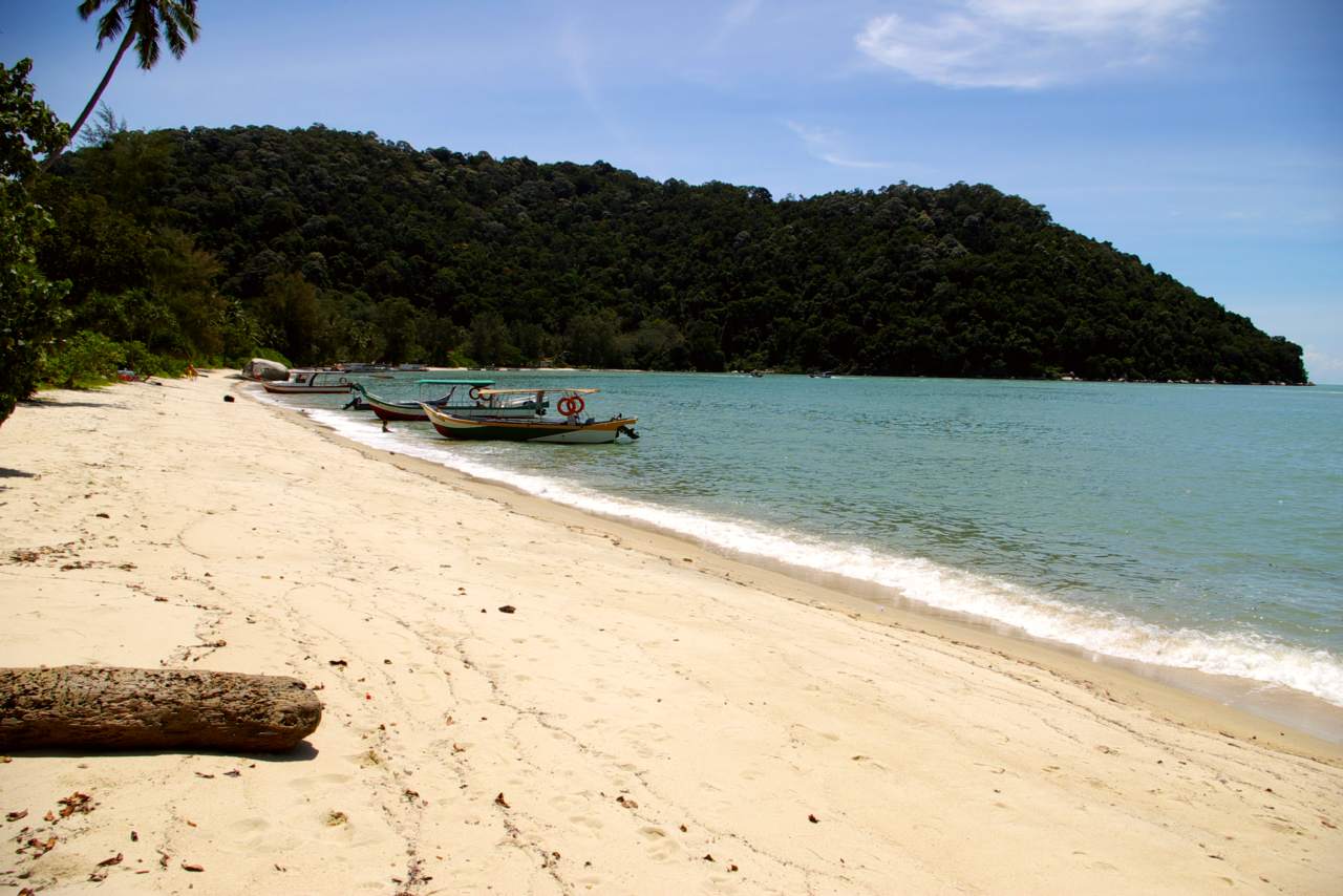Penang National Park