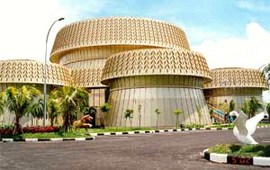 Paddy Museum