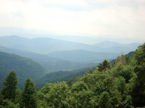 Monongahela National Forest