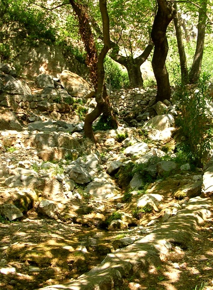 Castalian Spring