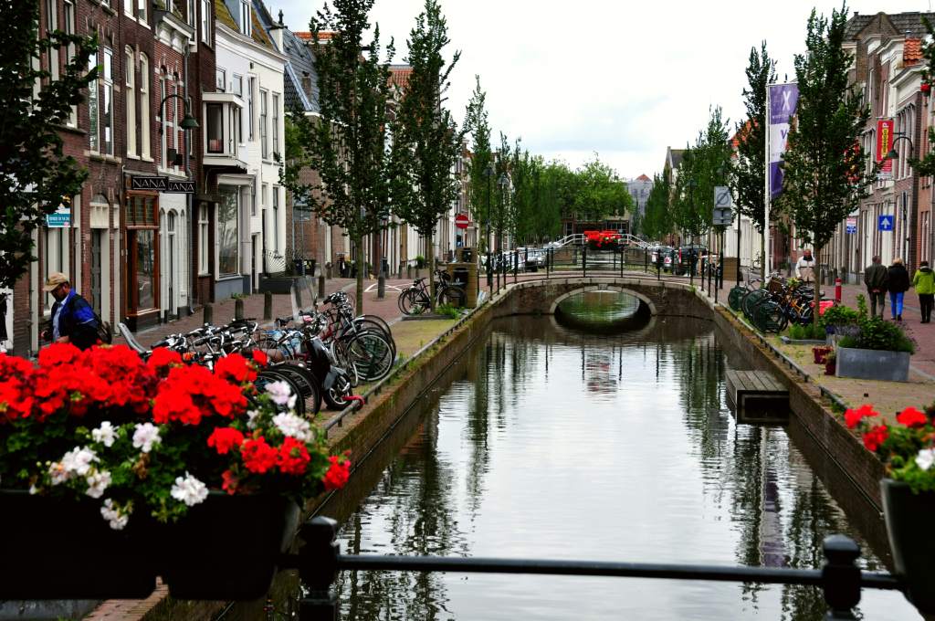 Gouda