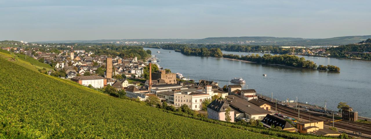 Lokale tradities - Rüdesheim