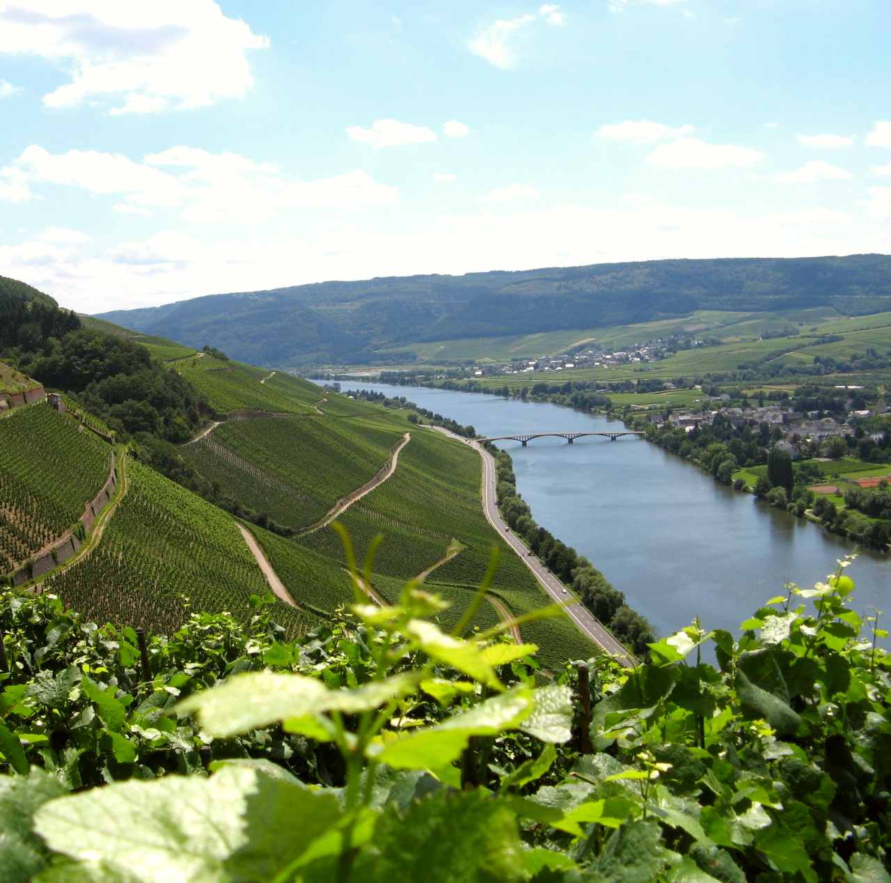 Moselle River