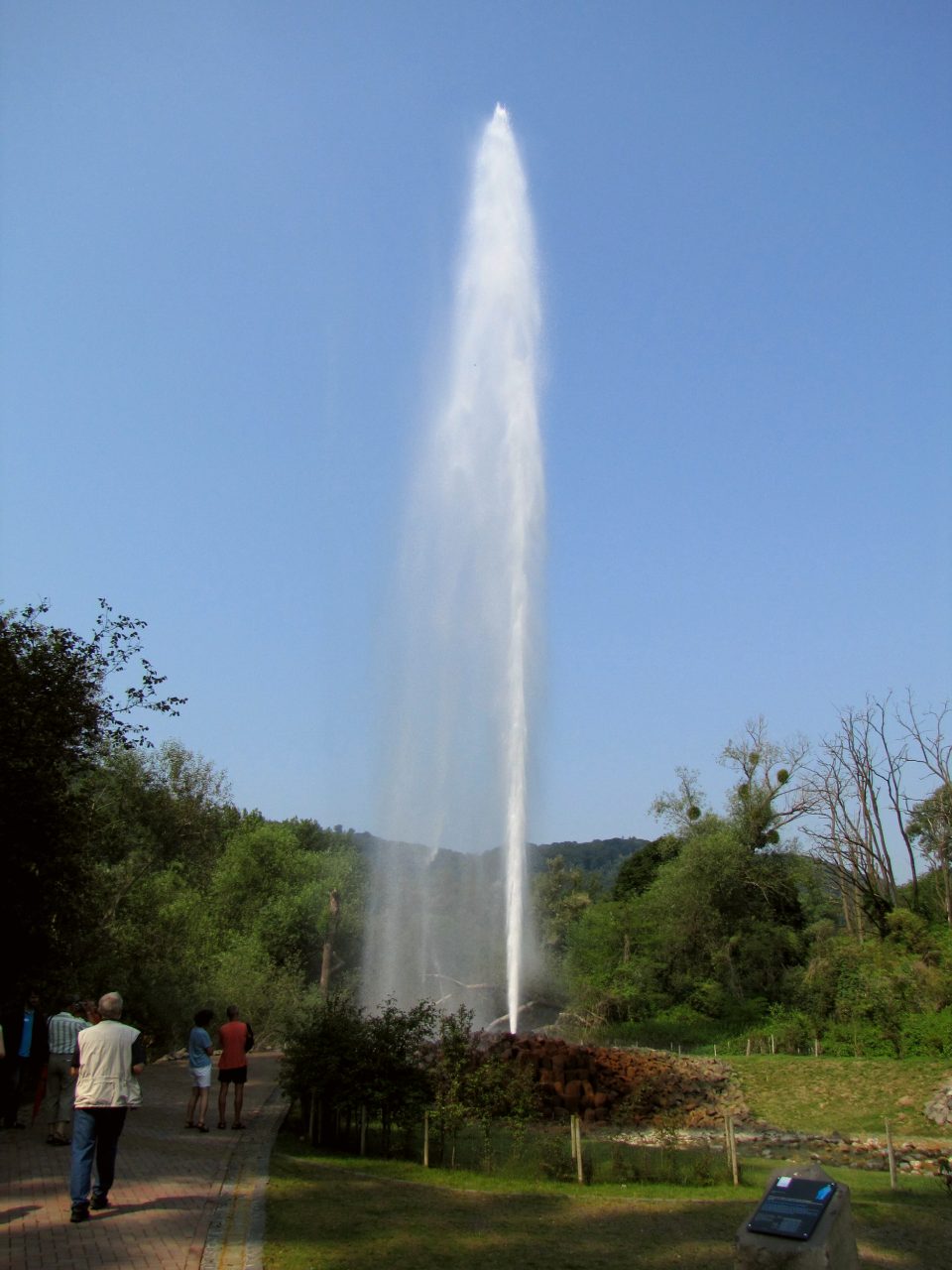 Andernach Geyser