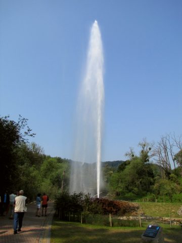 Andernach Geyser