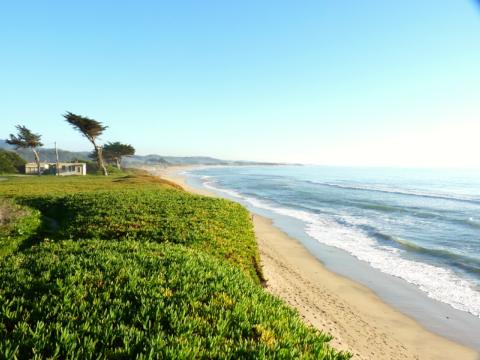Half Moon Bay
