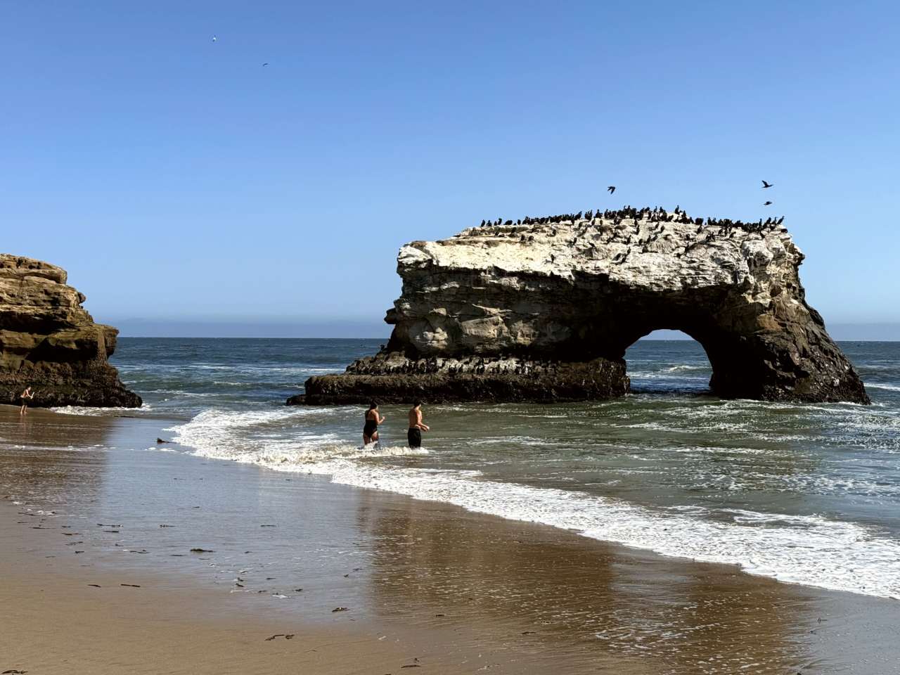 Natural Bridges State Beach