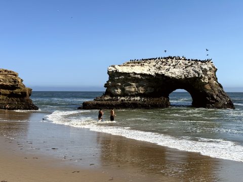 Natural Bridges State Beach