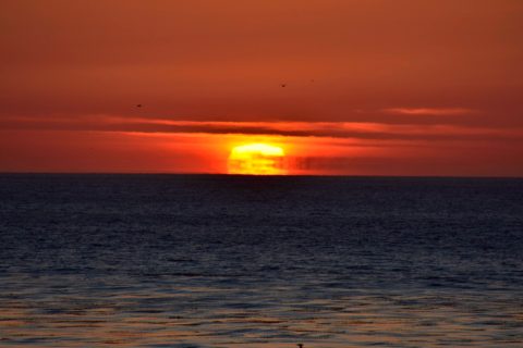 Cambria