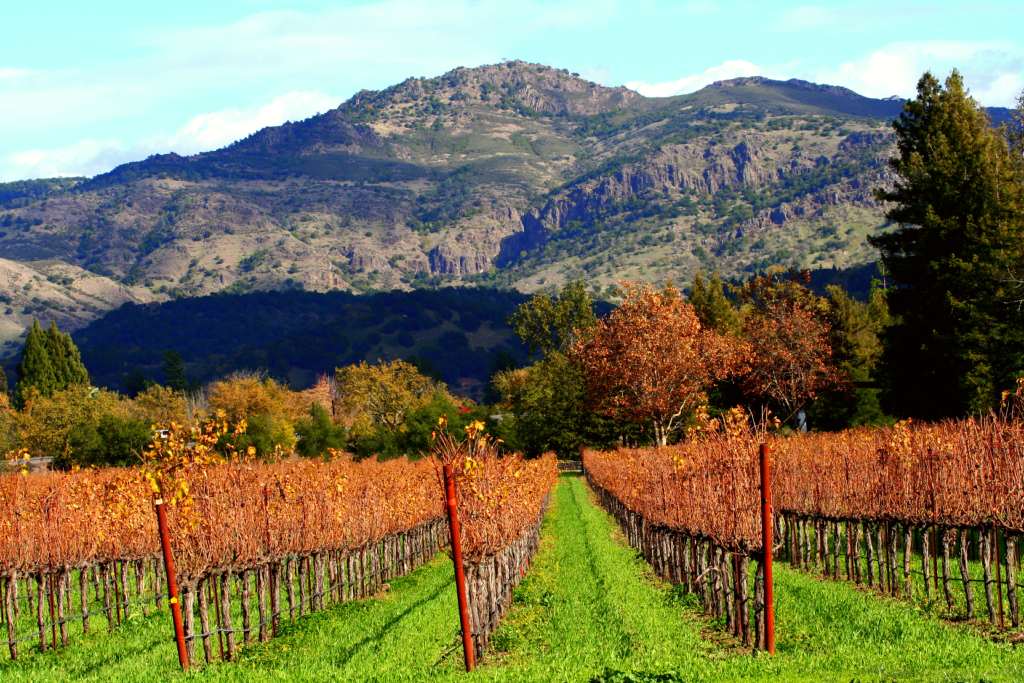 Lokale Traditionen - Napa