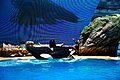 SeaWorld San Diego