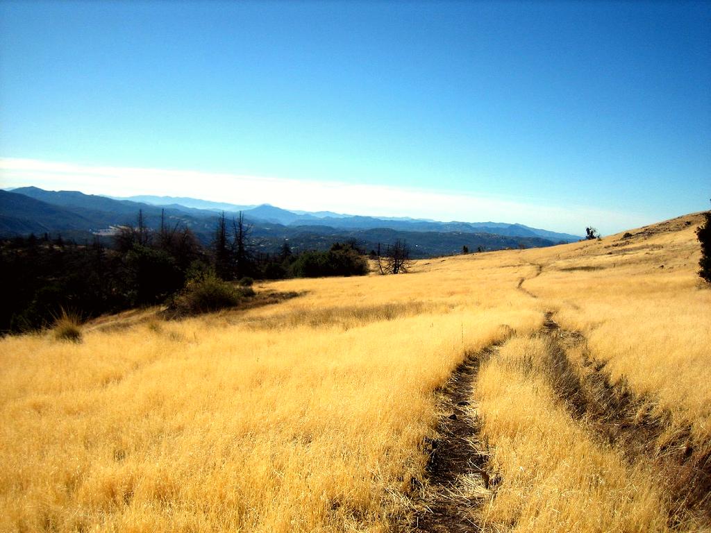 Cuyamaca Rancho State Park