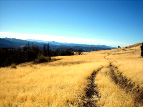 Cuyamaca Rancho State Park