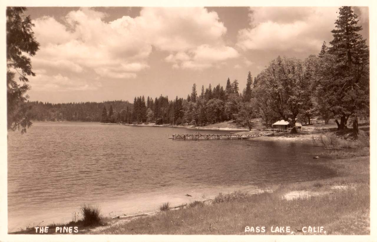 The Pines Resort