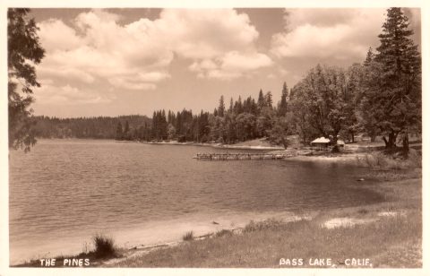 The Pines Resort