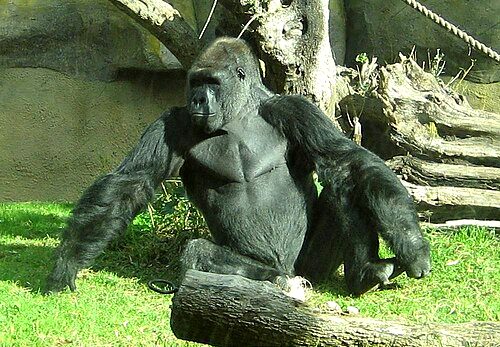 Santa Barbara Zoo