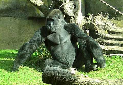 Santa Barbara Zoo