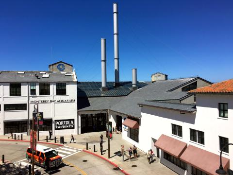 Monterey Bay Aquarium