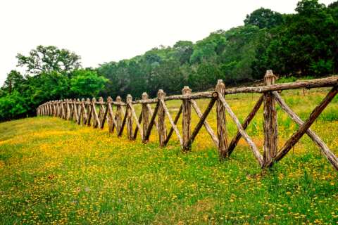 Texas