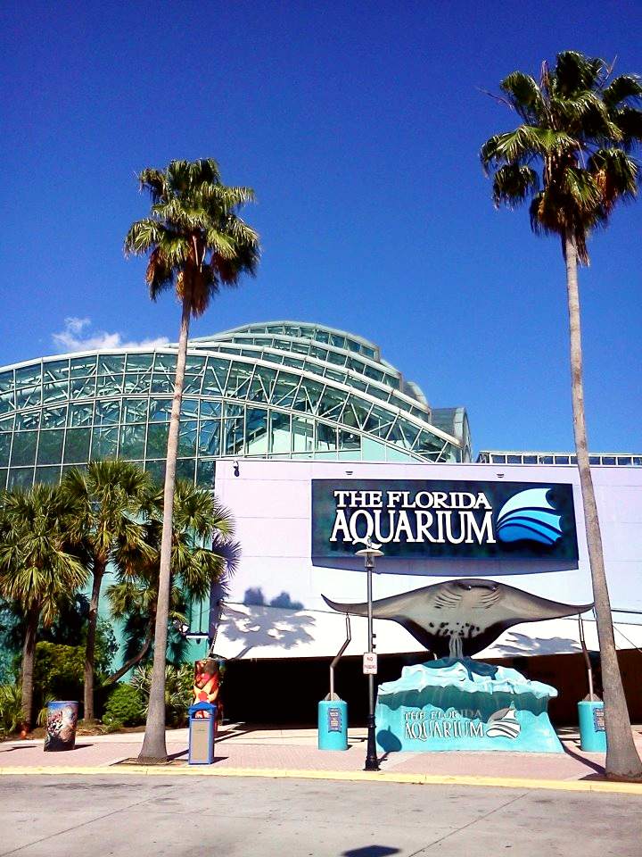 The Florida Aquarium