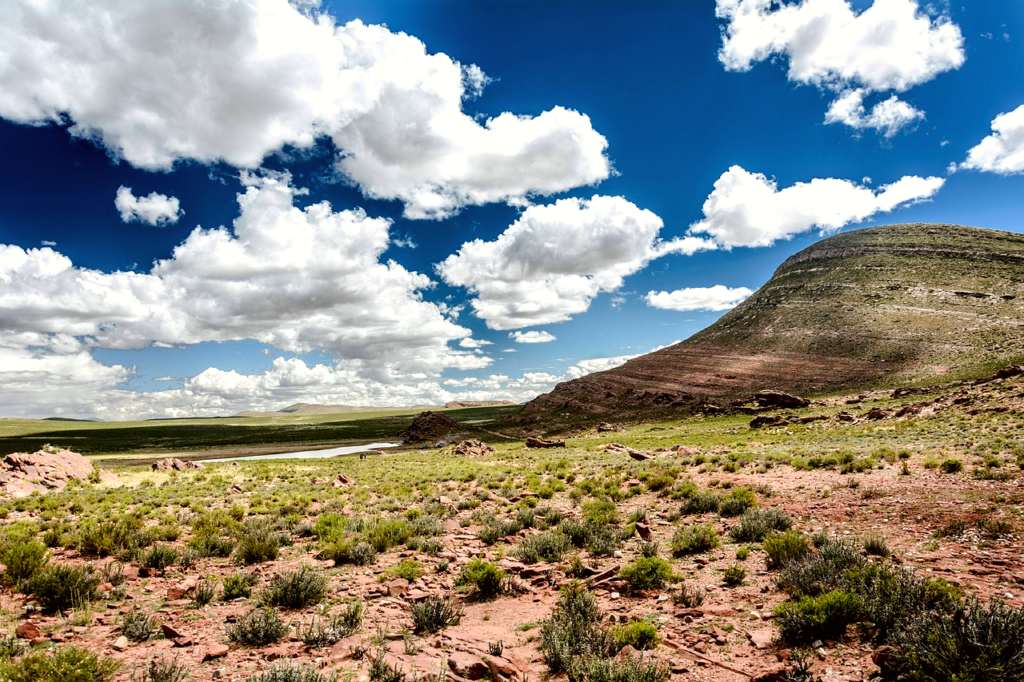 Arizona