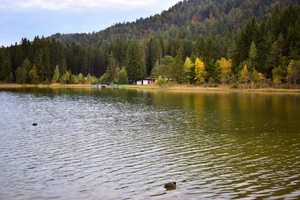 Zell am See