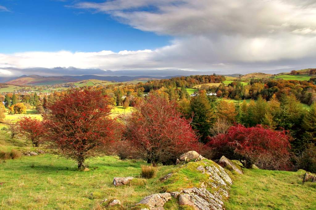 Windermere