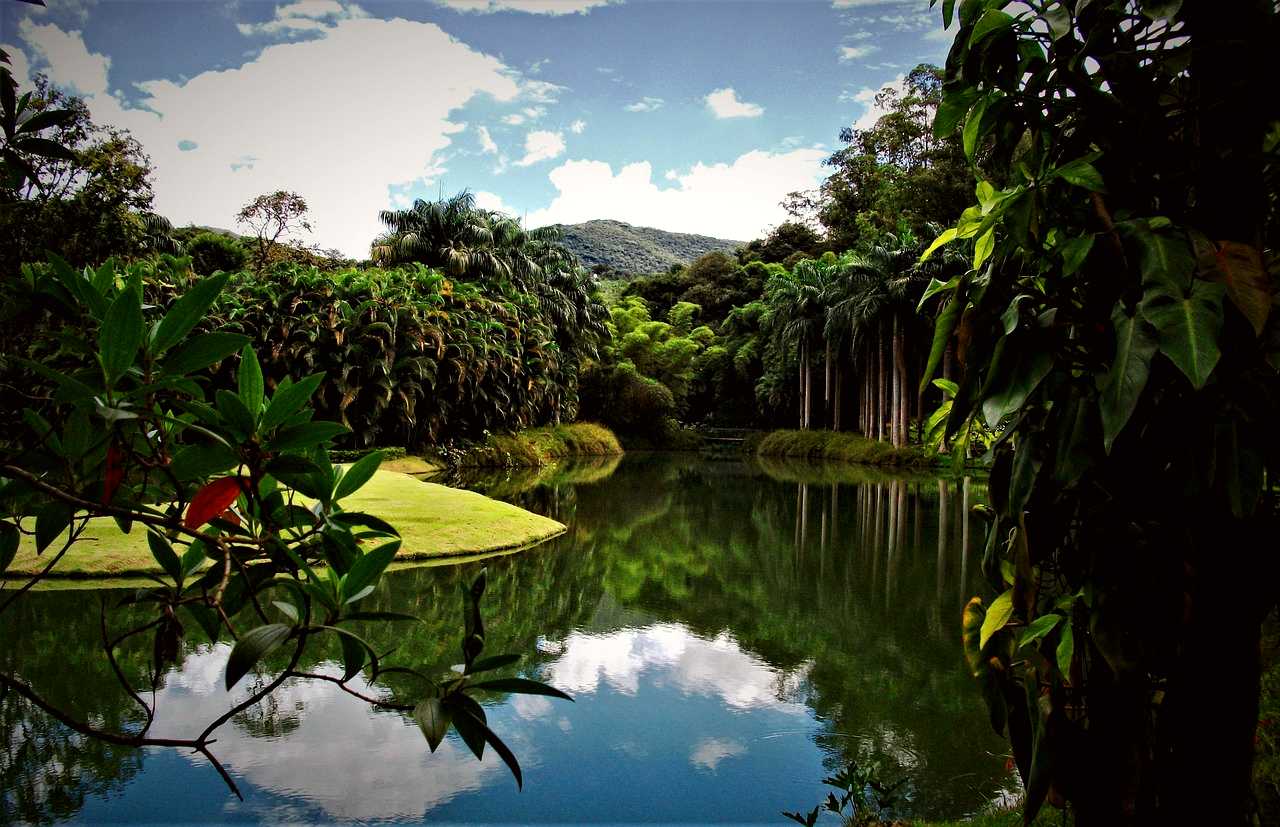 Minas Gerais