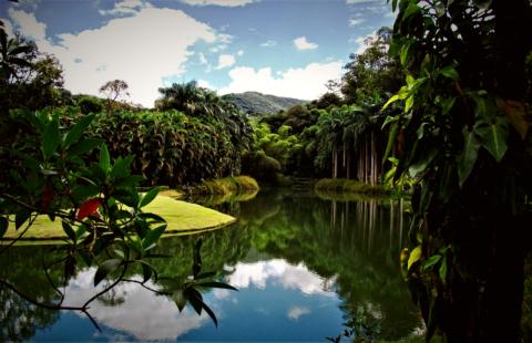 Minas Gerais