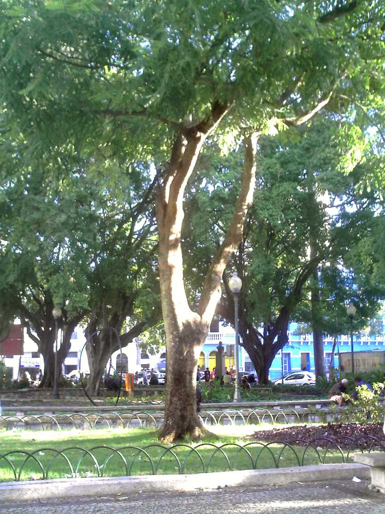 History - Pernambuco