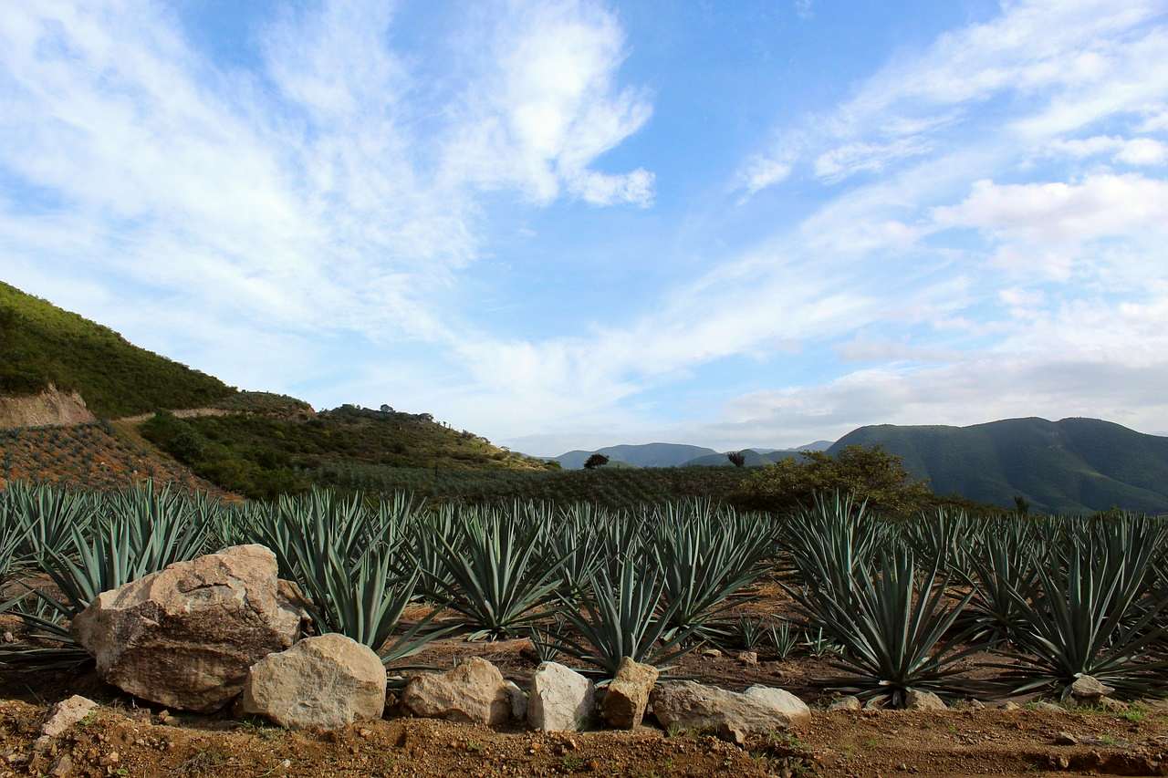 Oaxaca