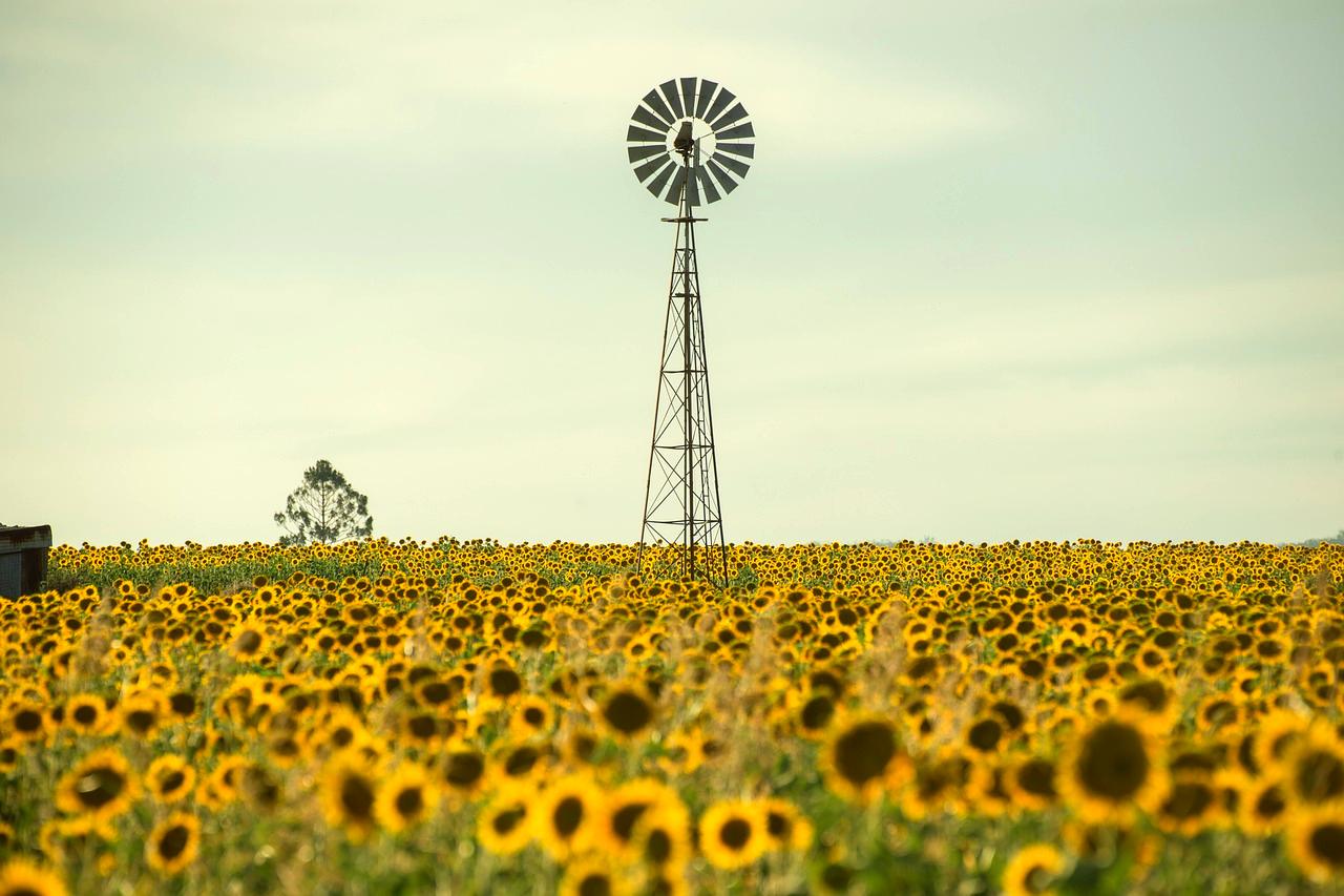 Queensland