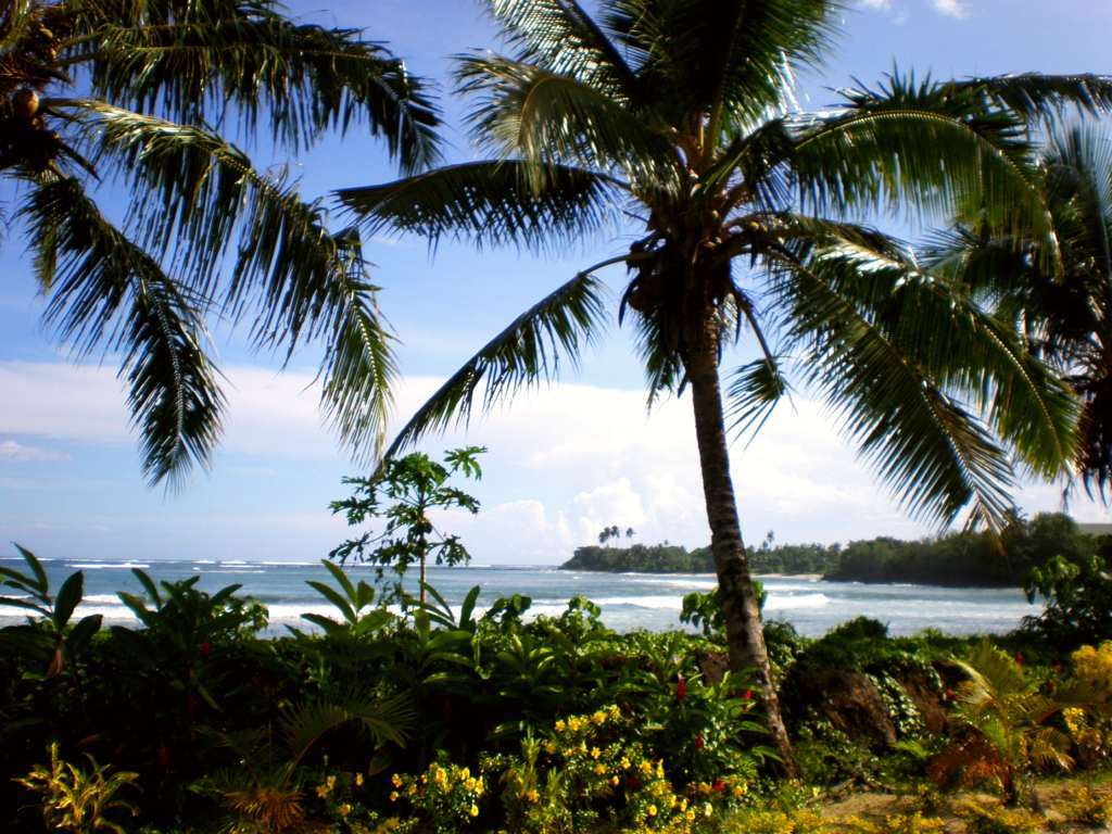 Samoa scenic coastline